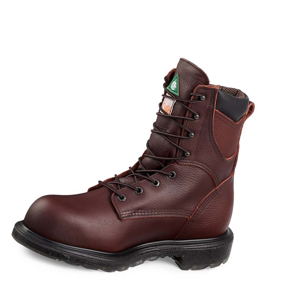 Red Wing SuperSole® 2.0 8-inch Insulated, CSA Safety Toe Men's Waterproof Boots Burgundy | ZA 364DFM